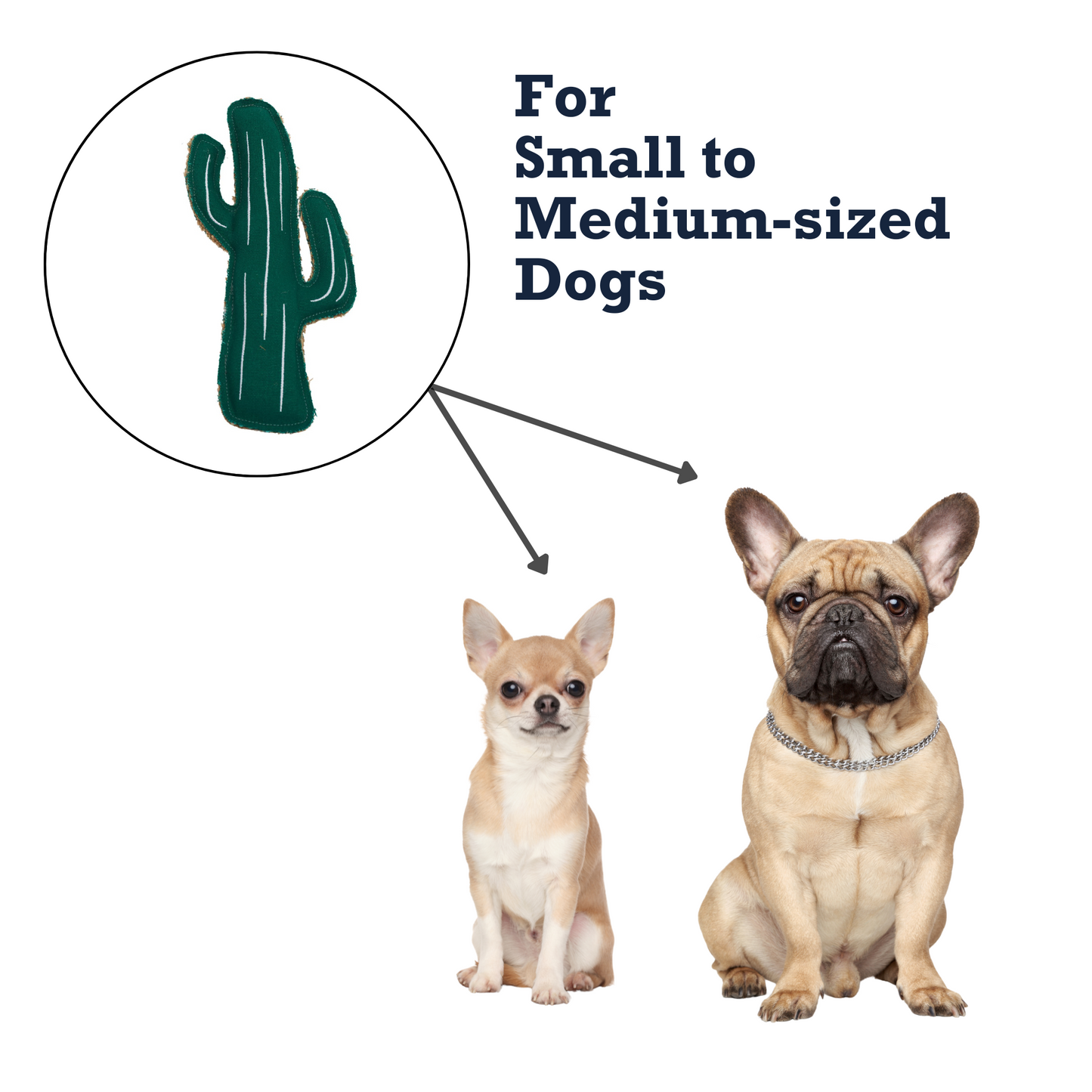 Sustainable Canvas & Jute Cactus Dog Toy