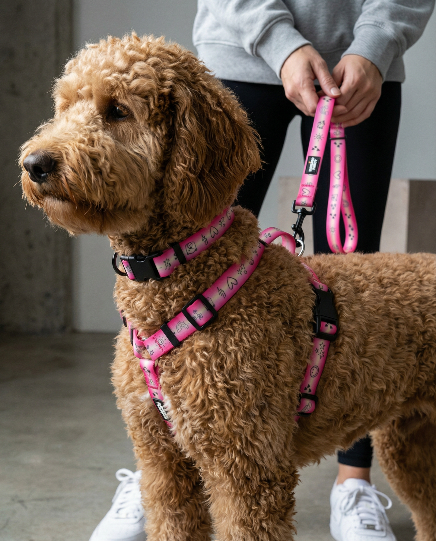 "Doodles" Waterproof Dog Collar - Pink Gradient