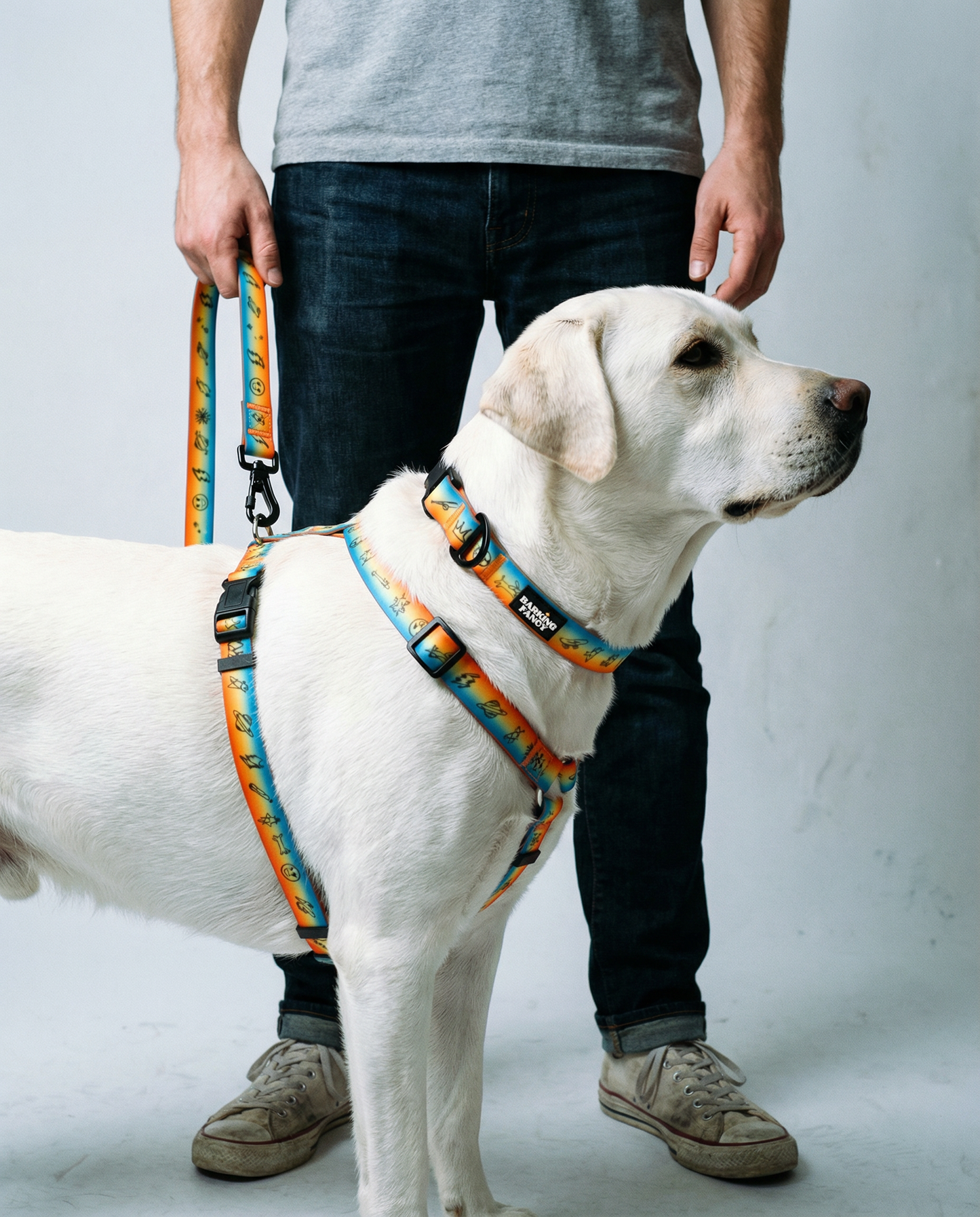 "Doodles" Waterproof Dog Collar - Orange Gradient