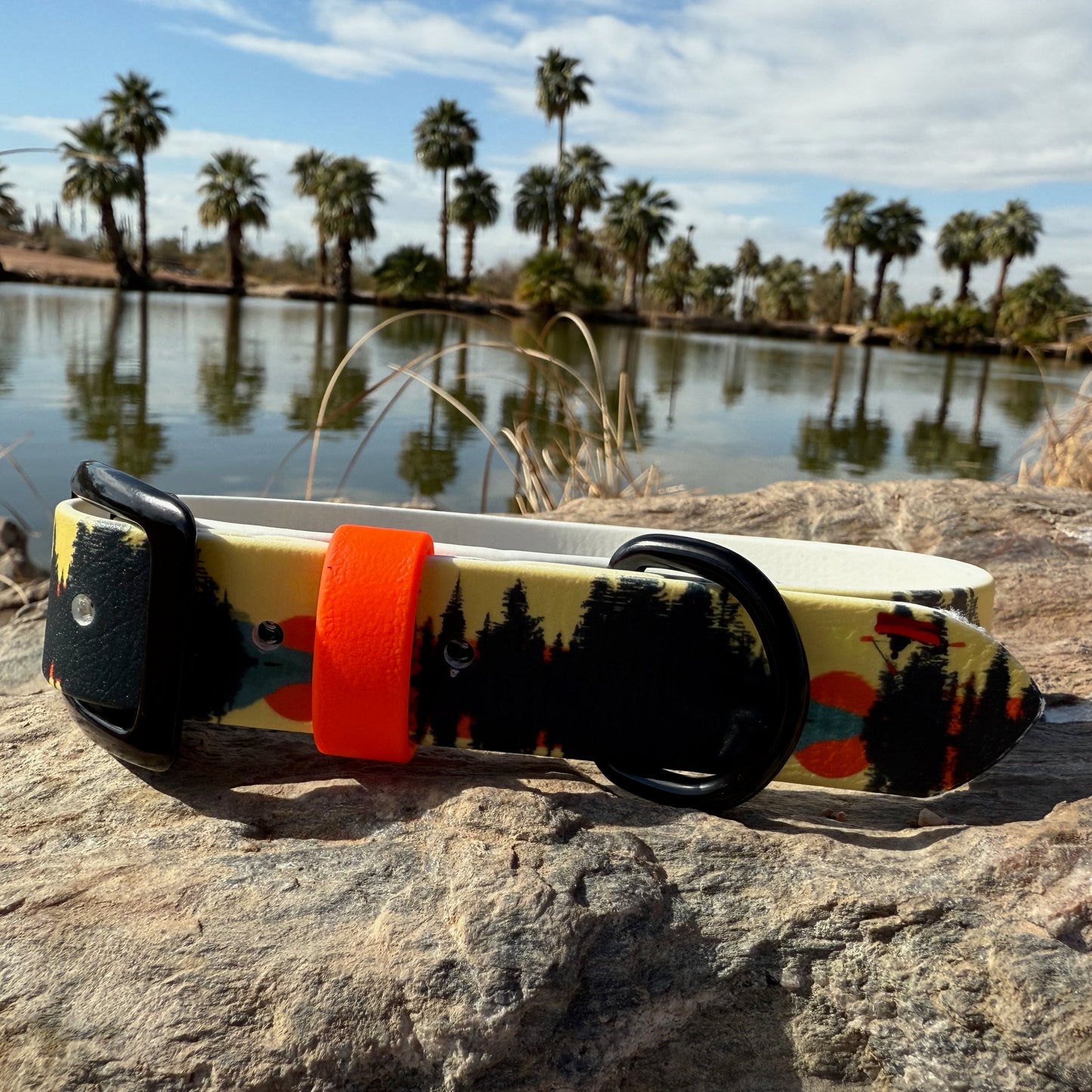 Sunset Printed Biothane Collar