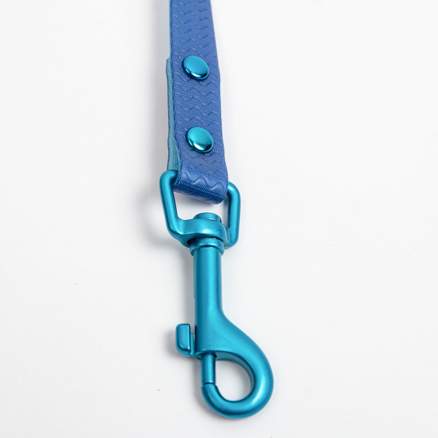 Jelly Waterproof Dog Leash - Blue - Detail - Snap Hook