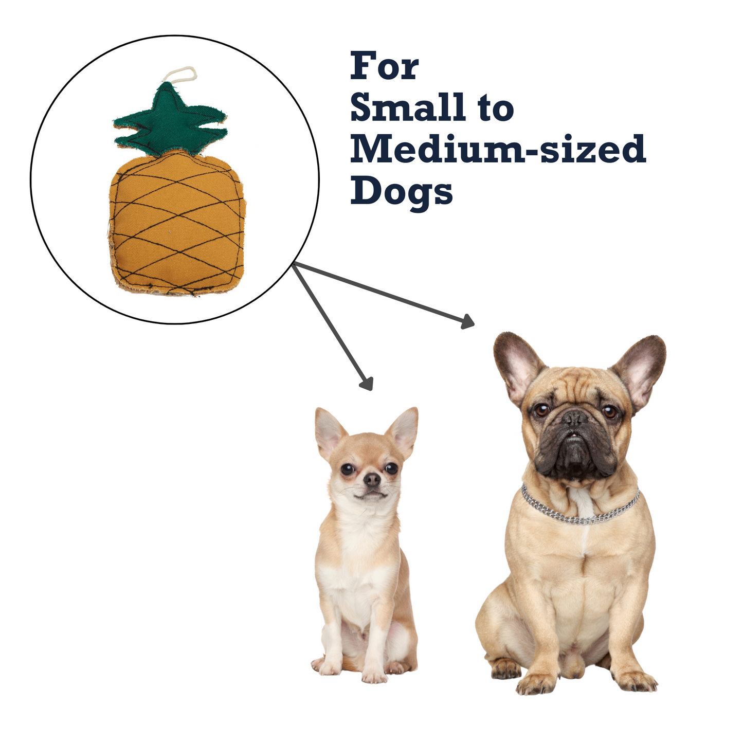 Sustainable Canvas & Jute Pineapple Dog Toy