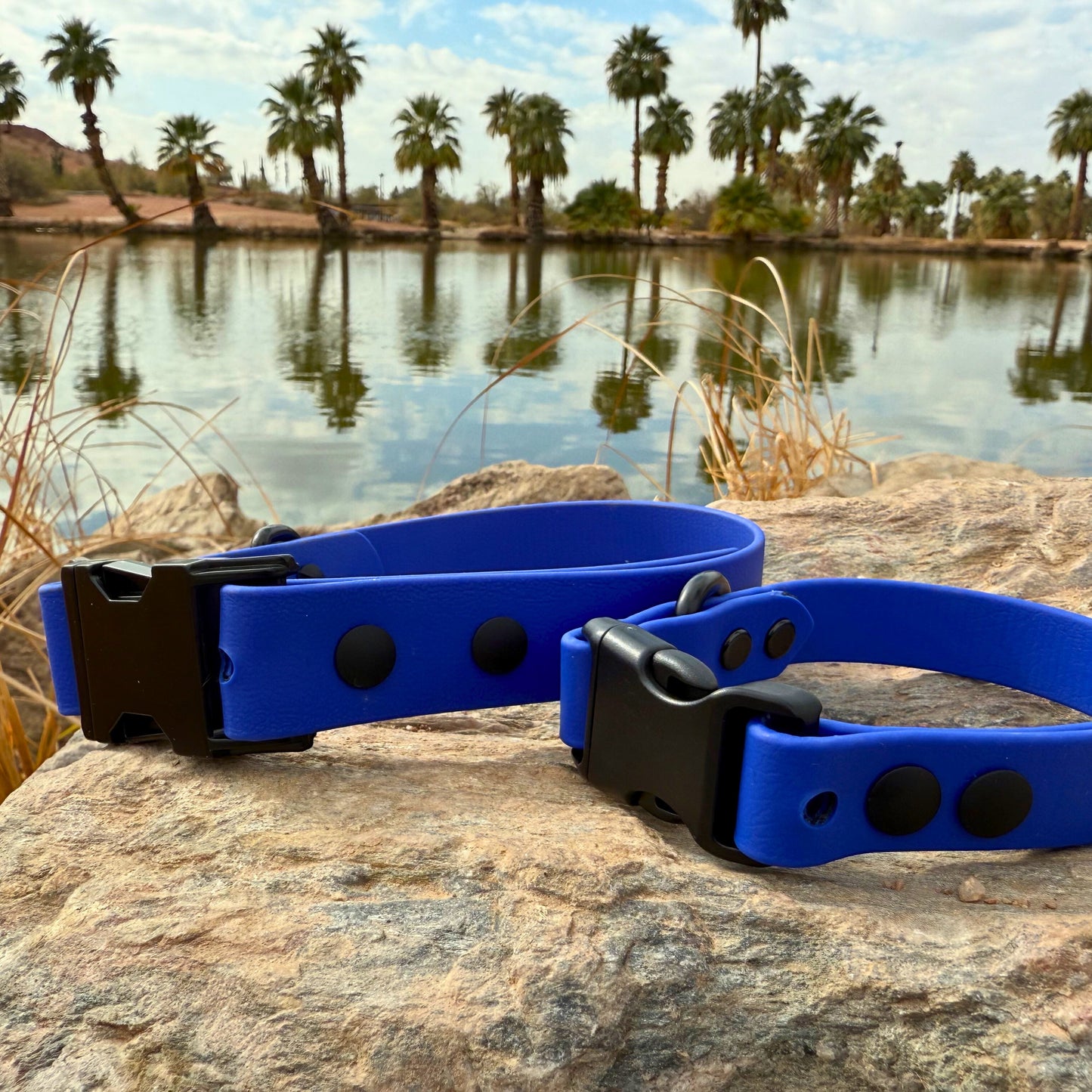 Adjustable Solid Color Biothane Quick Release Collar