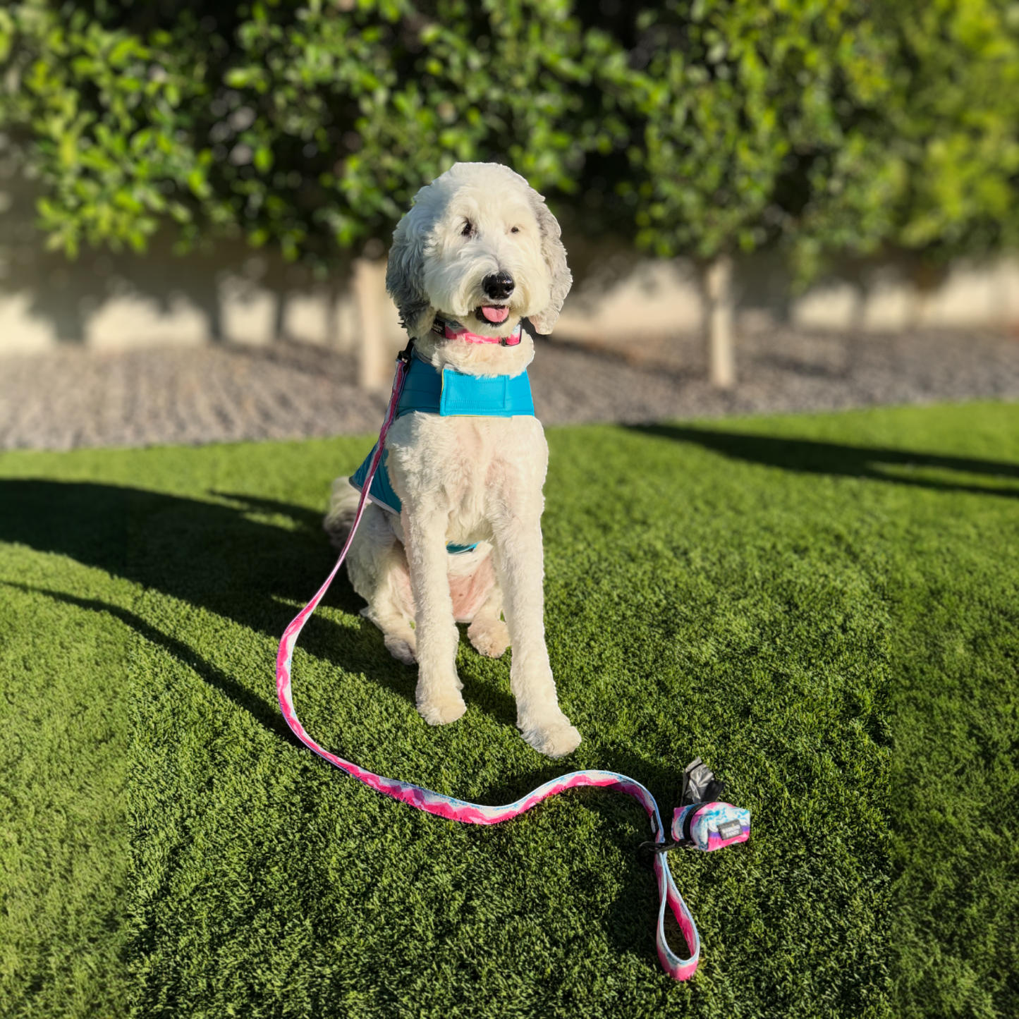 Adventurer Jacket - Reversible Dog Puffer Jacket