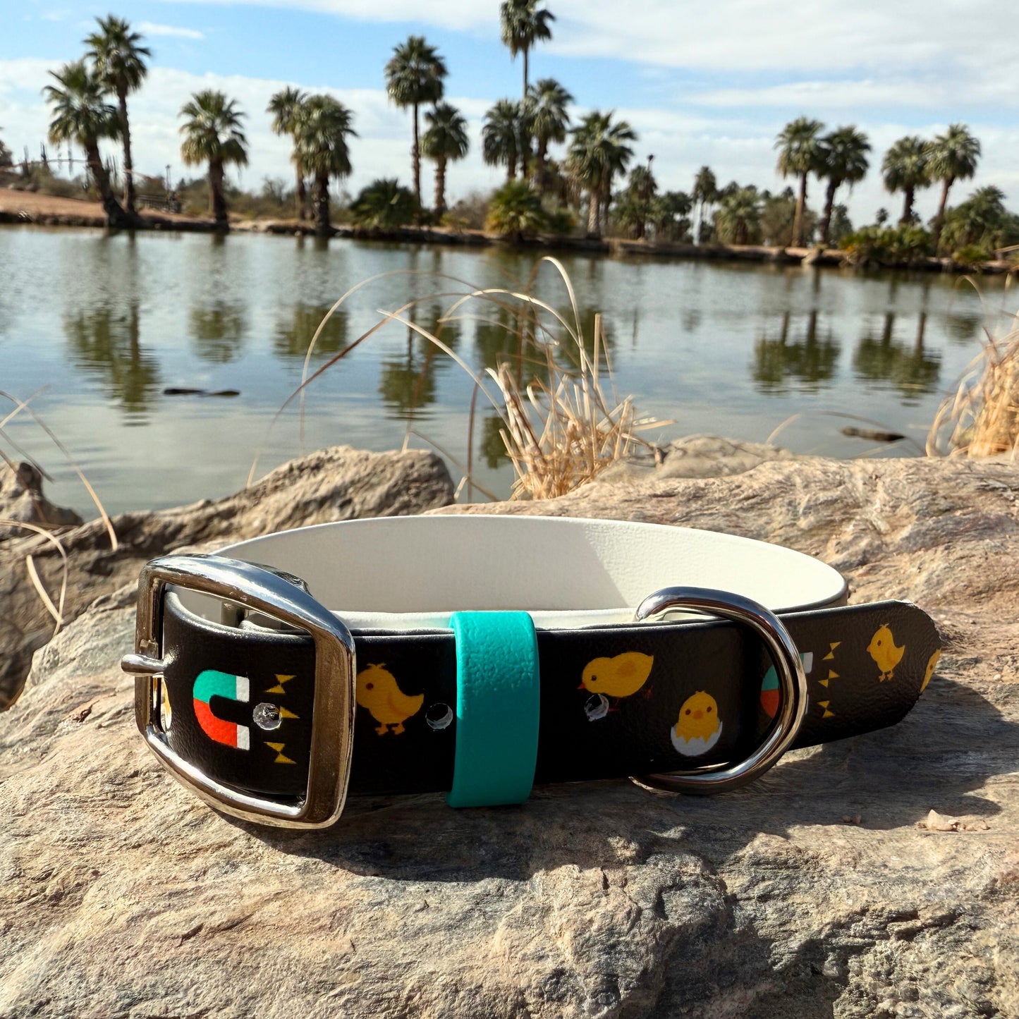 Chick Magnet Printed Biothane Collar