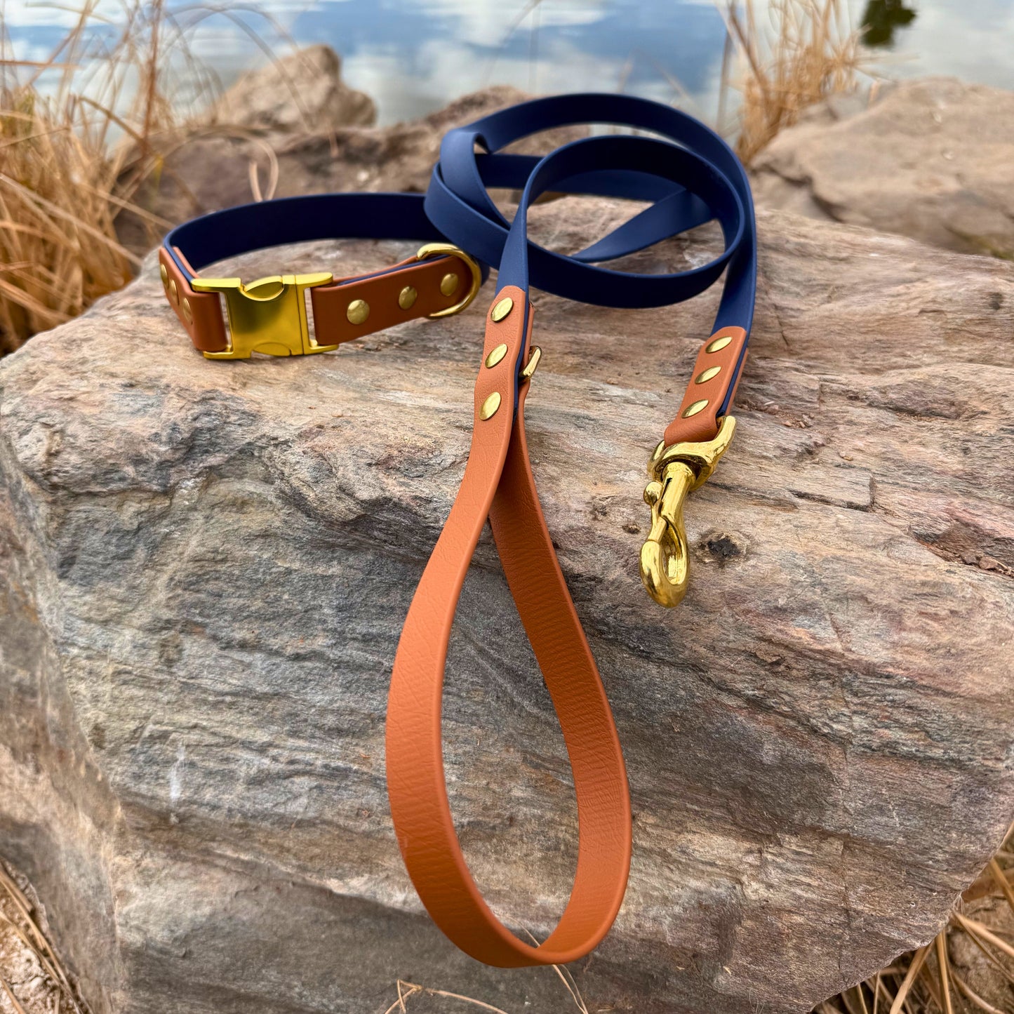 Two-Color Biothane Leash