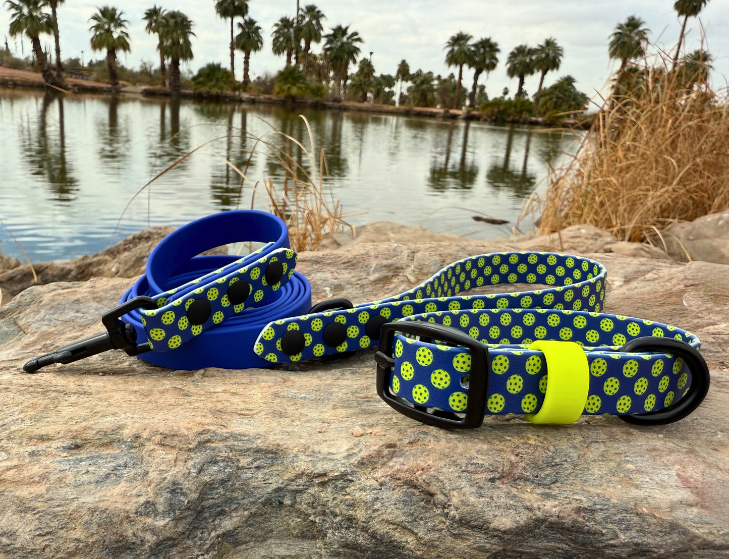 Printed Biothane Accents Leash