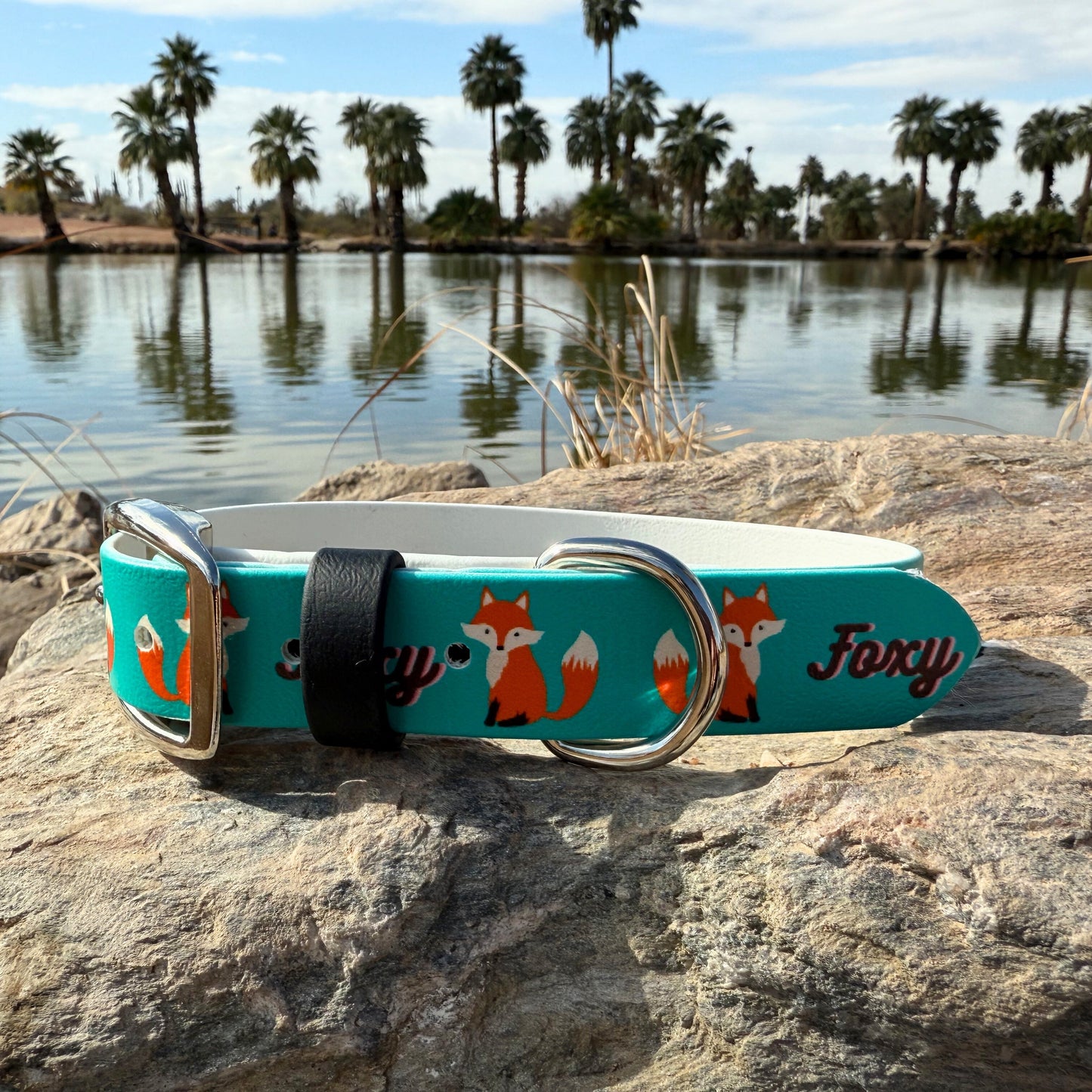 Foxy Printed Biothane Collar