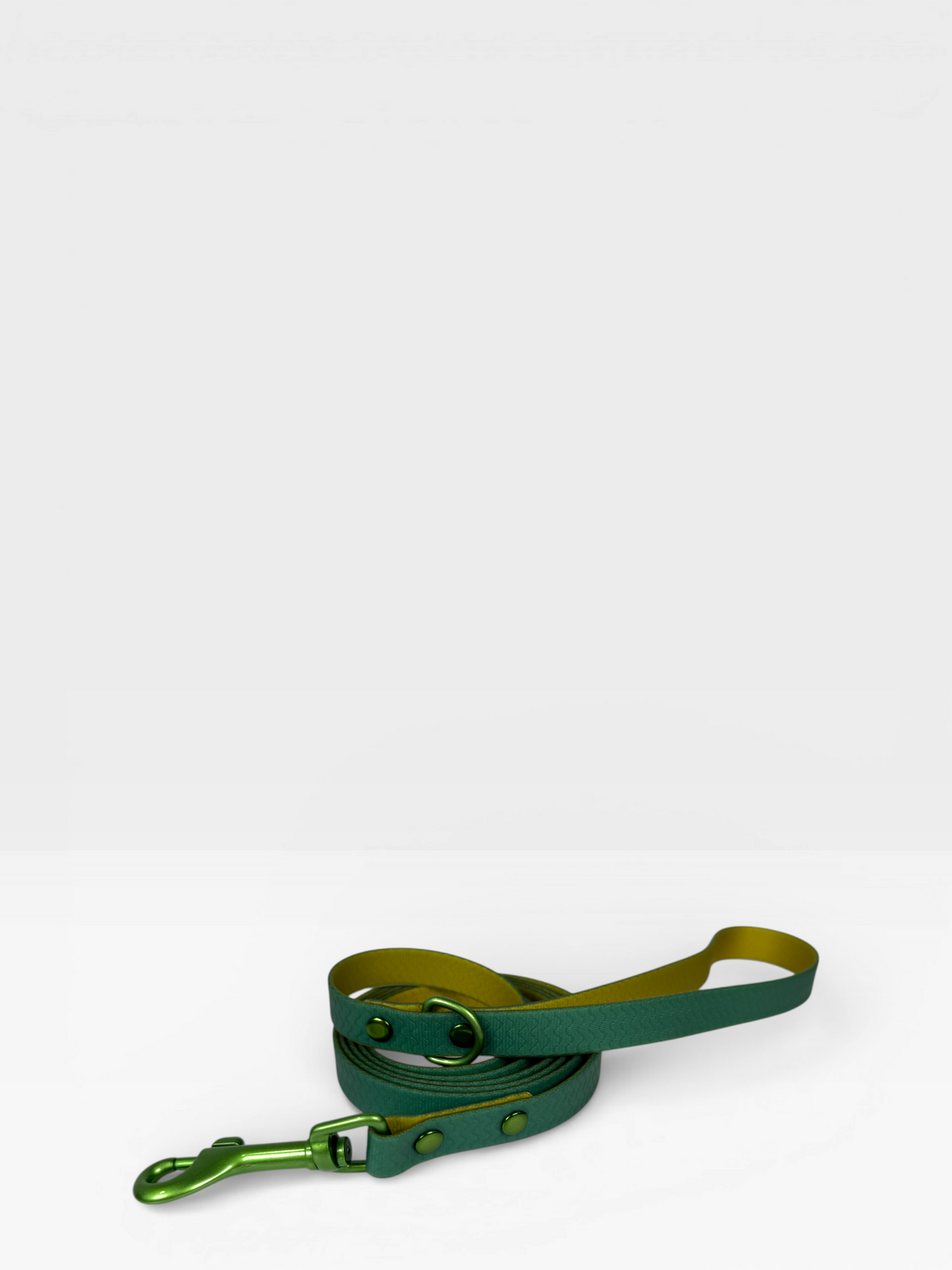 Purple Jelly Leash - Waterproof Leash for Small Dogs