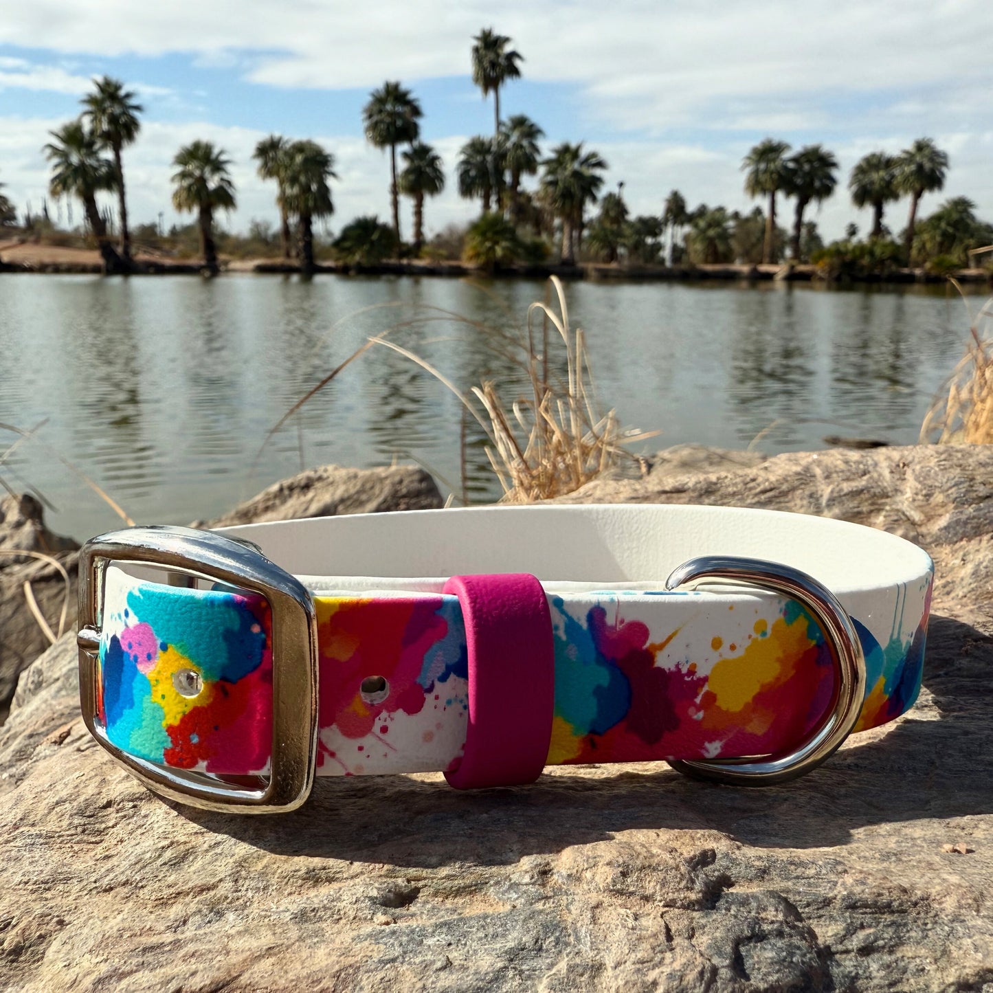 Splatter Paint 1 Printed Biothane Collar