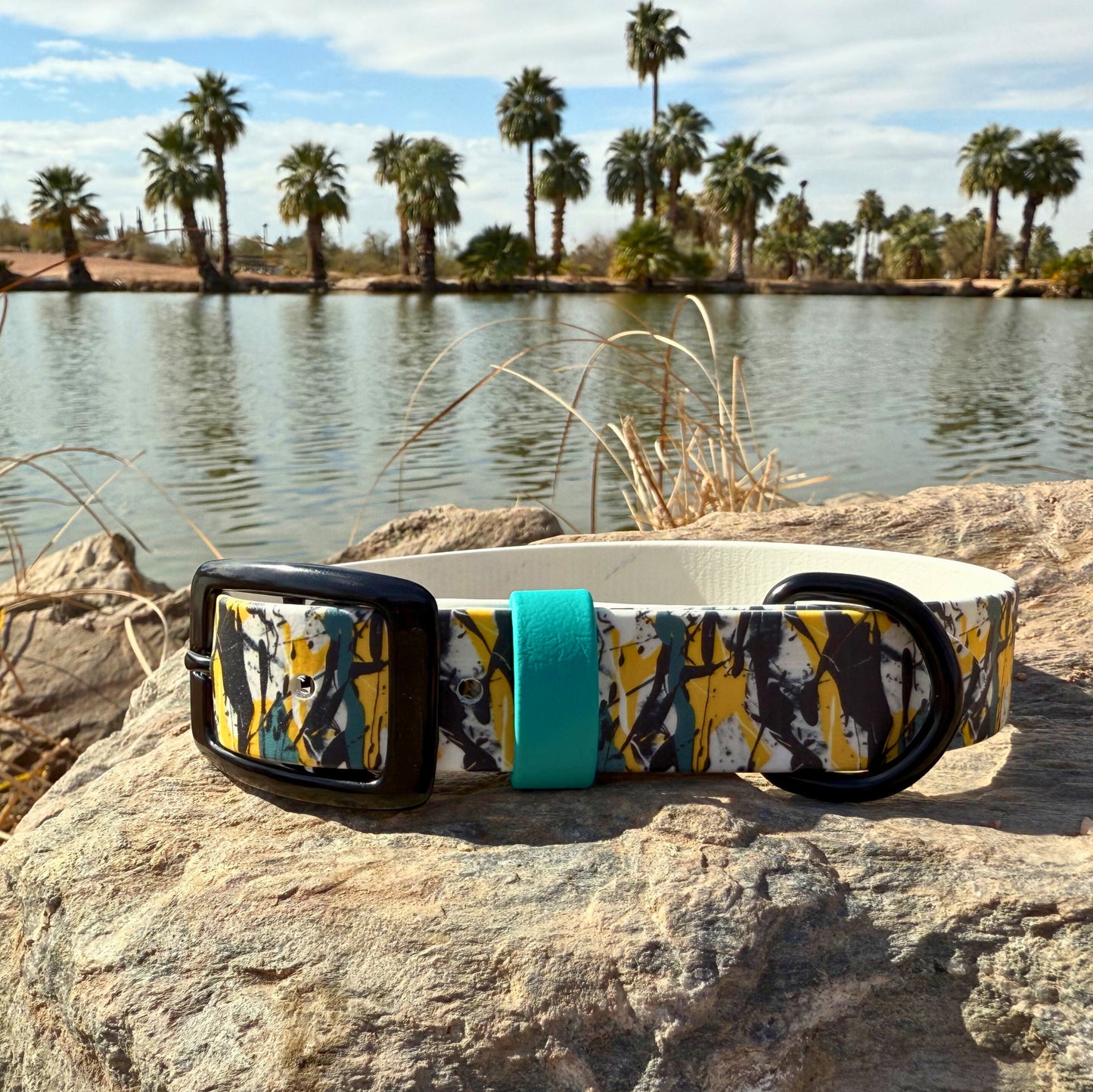 Splatter Paint 2 Printed Biothane Collar