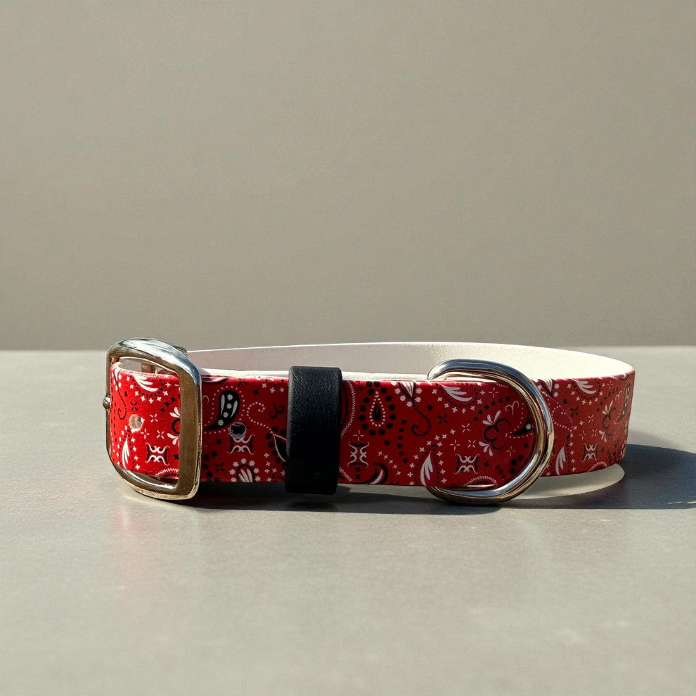 Paisley Printed Biothane Collar