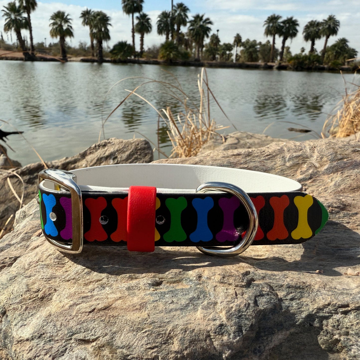 Rainbow Bone Printed Biothane Collar