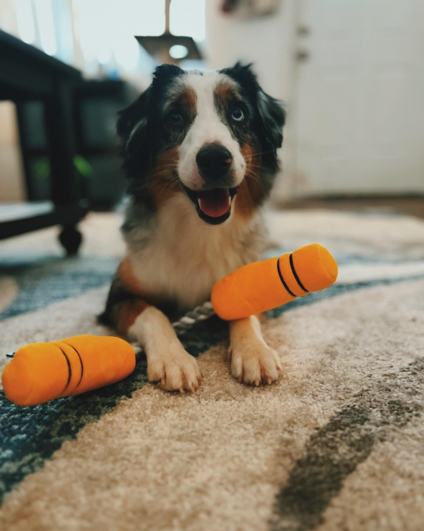 NUNCHUCKS TUG ROPE INTERACTIVE TOY