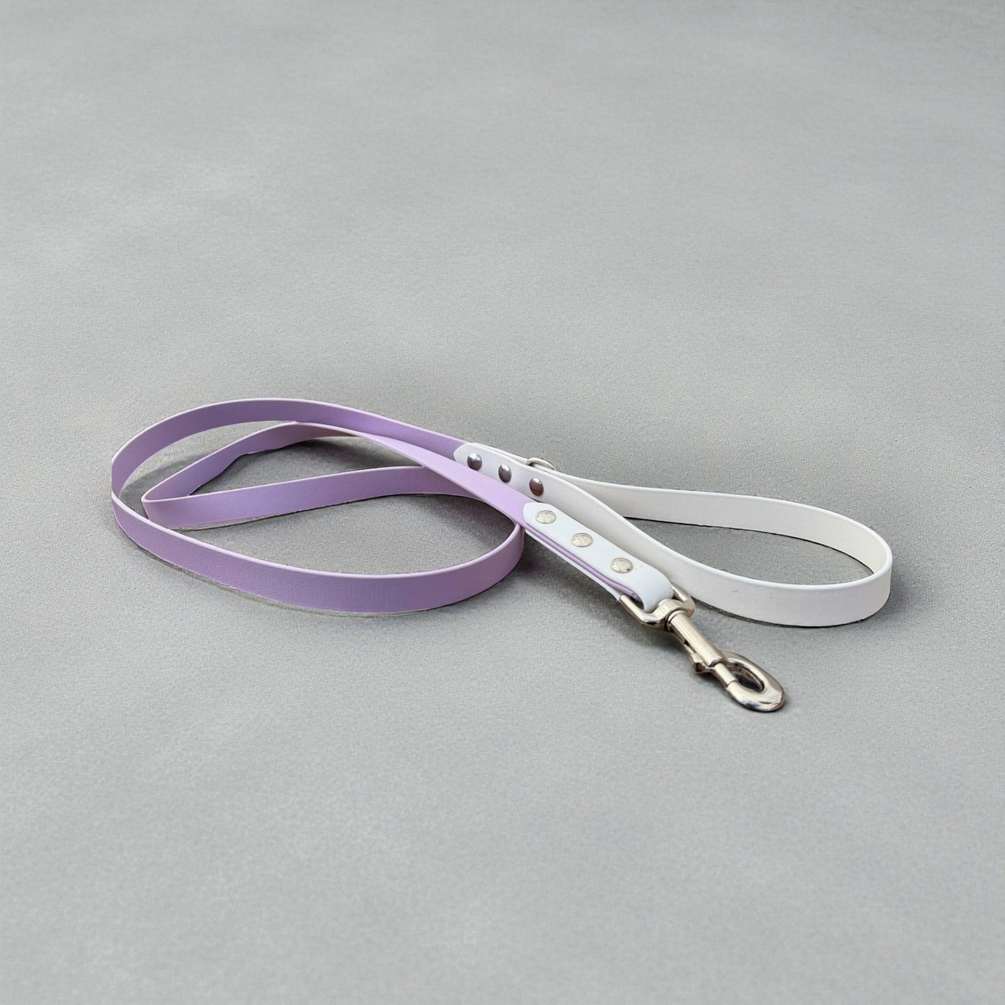 Two-Color Biothane Leash