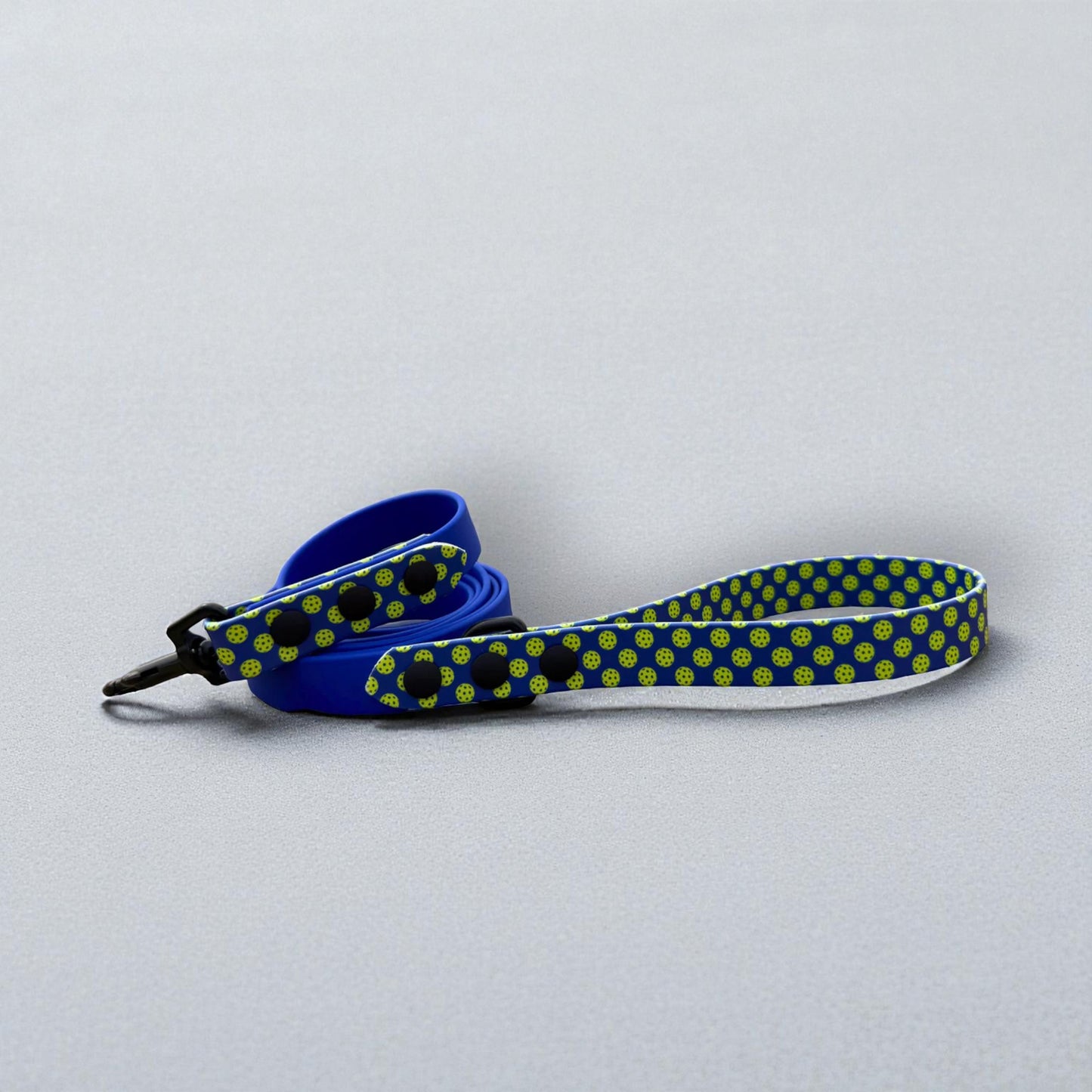 Printed Biothane Accents Leash