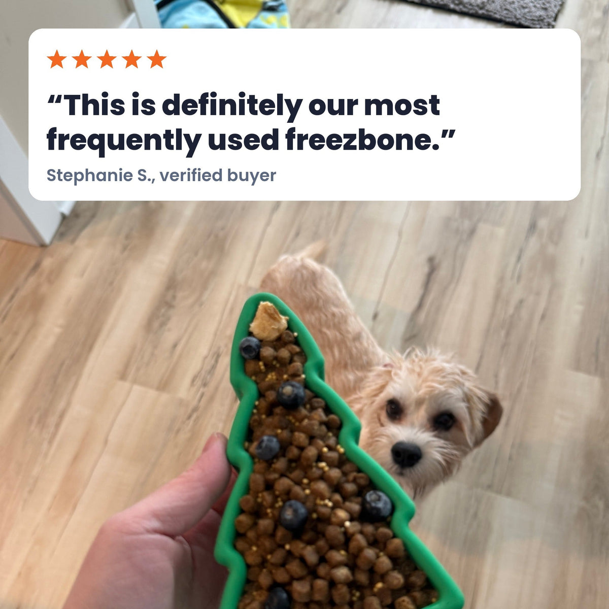FreezTree - Mental Stimulation Chew Toy