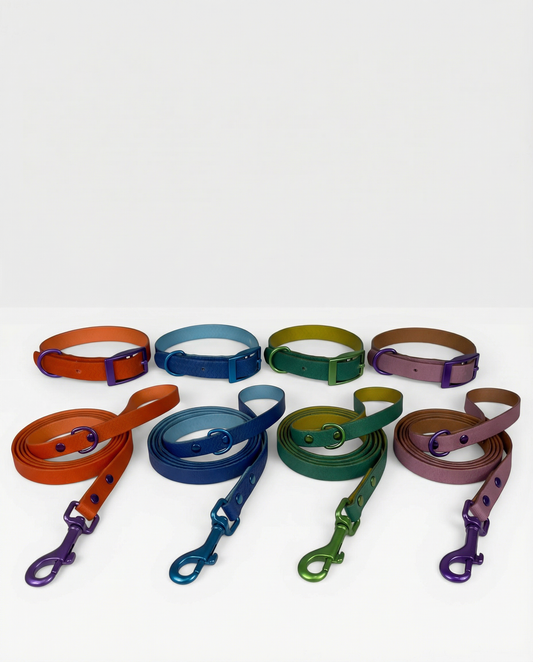 Jelly Waterproof Collar and Leash Set for Small Dogs