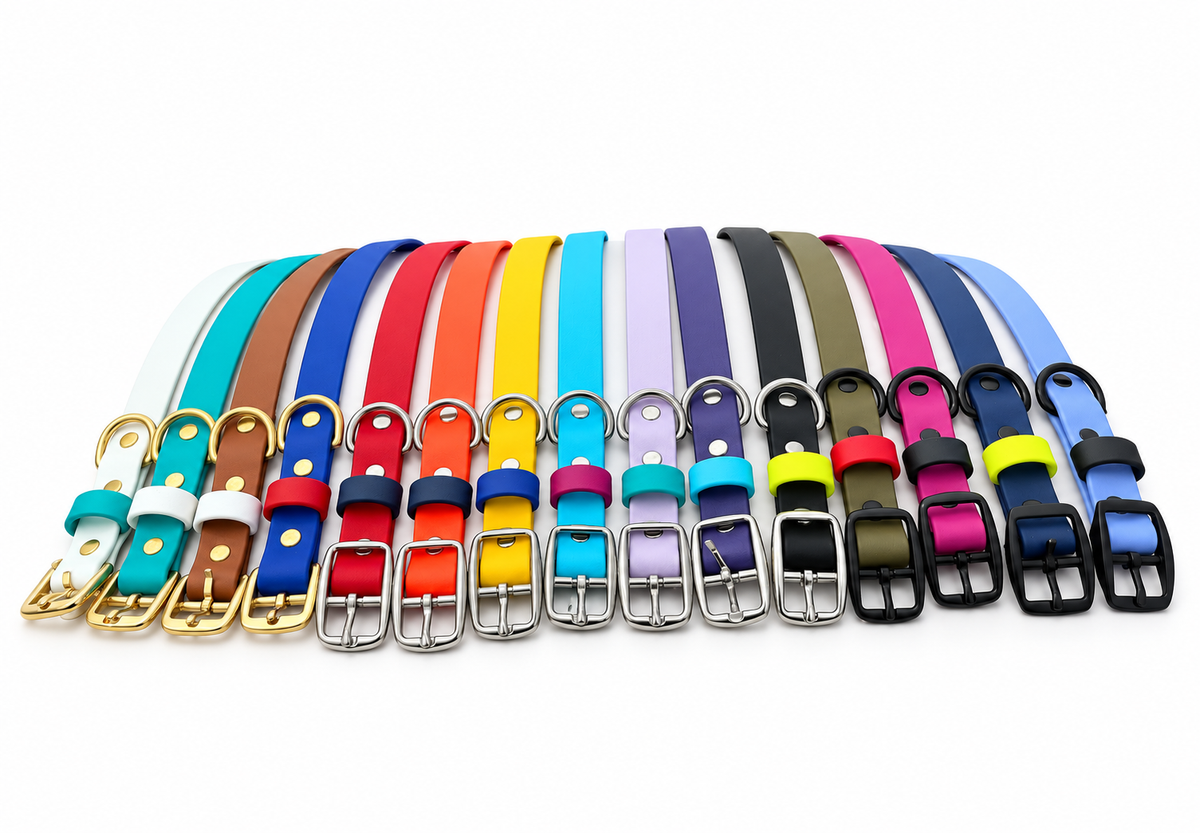 Custom Biothane Collar