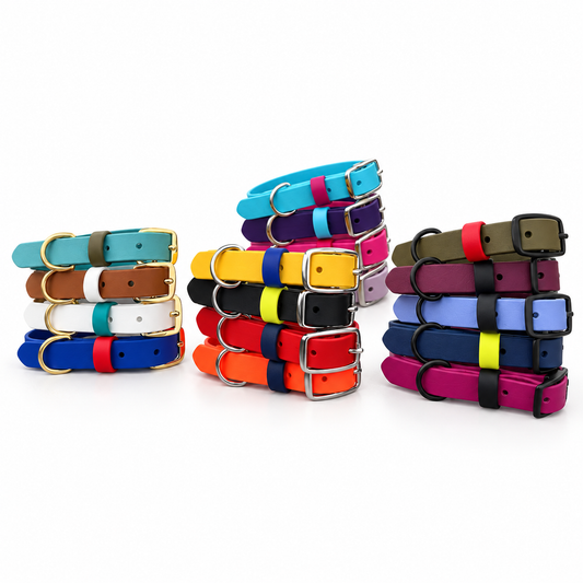 Custom Biothane Collar