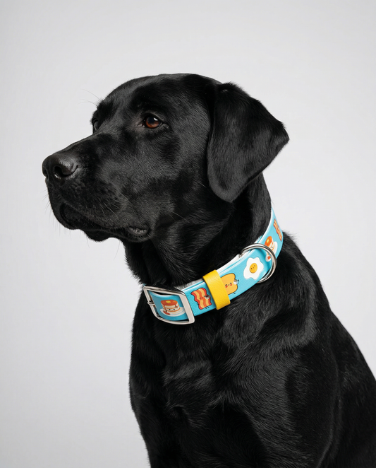 Breakfast Printed Biothane Collar