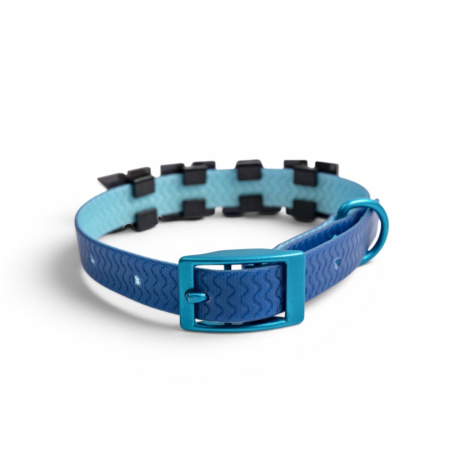 Back view of a blue dog collar with letter charms on a white background