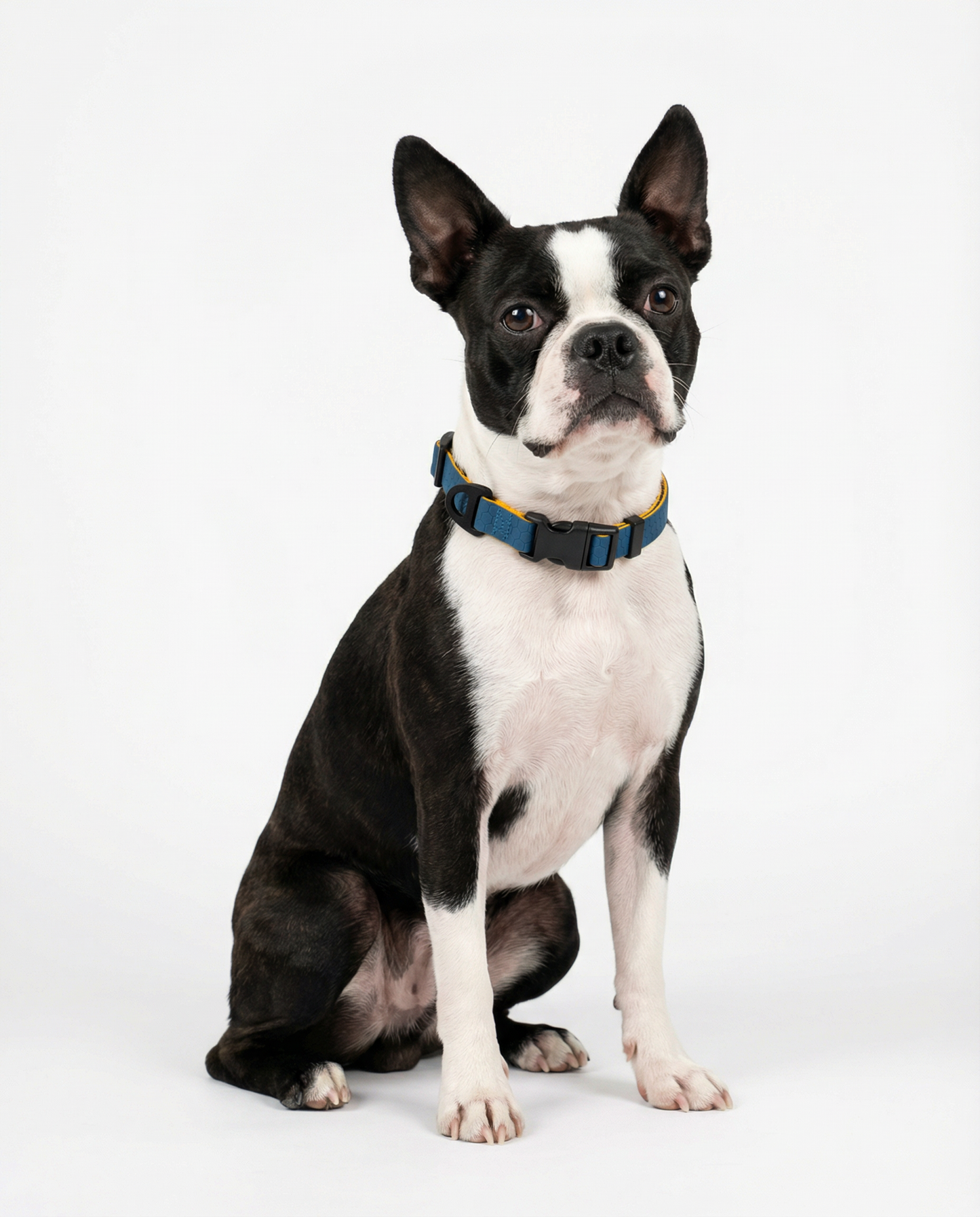 Hexagon Collar - Waterproof Collar For Small Dogs