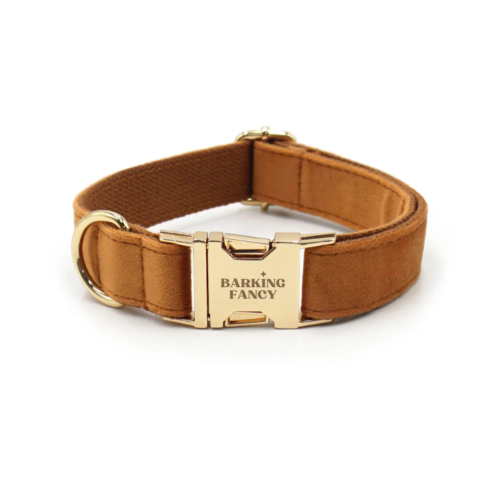 Warm brown velvet dog collar with gold buckle on a white background, featuring Barking Fancy branding