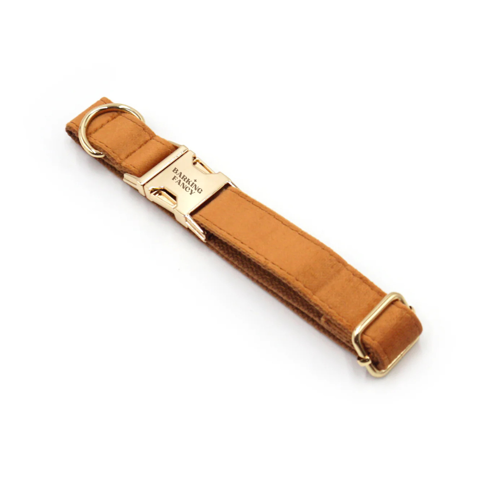 Warm brown velvet dog collar with gold hardware on a white background