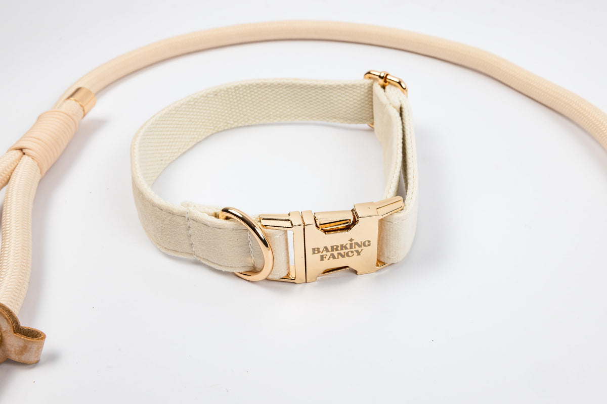 Signature Velvet Collar - Cream - Logo Shot