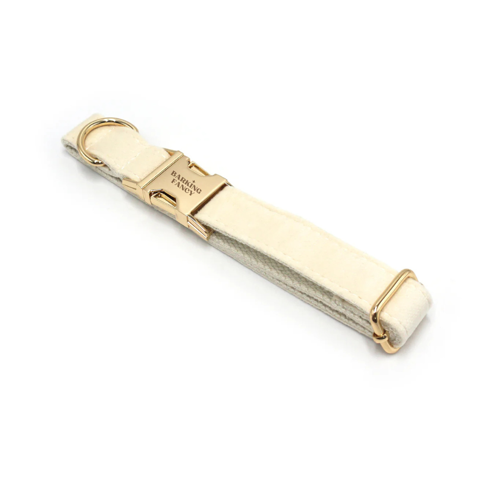Creamy beige velvet dog collar with gold hardware and Barking Fancy engraved on the quick release buckle