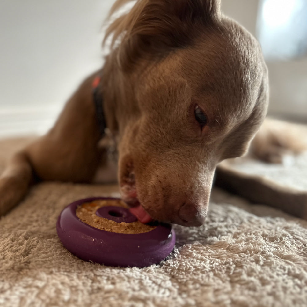 Freez Doughnut - Super Durable Treat Toy
