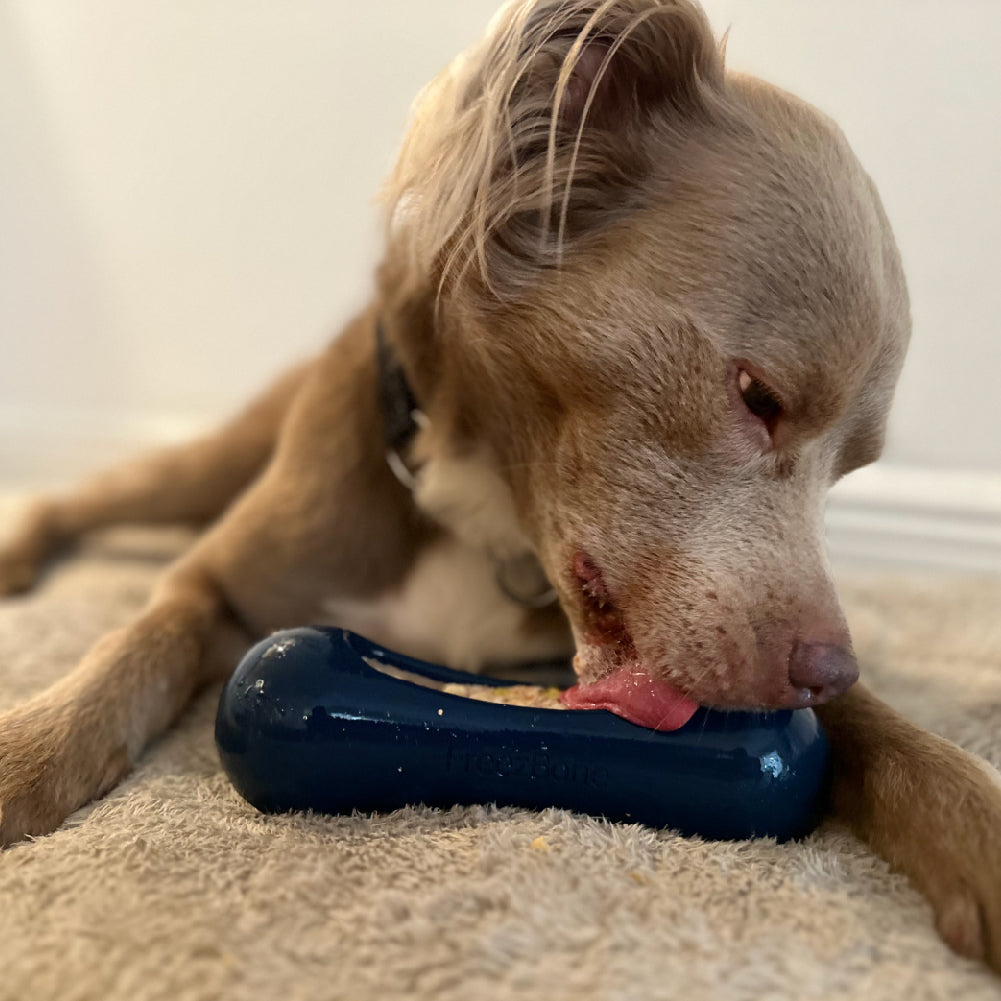 Freezstick - Indestructible Enrichment Chew