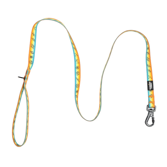 Doodles Waterproof Dog Leash - Orange Gradient - Flat Lay