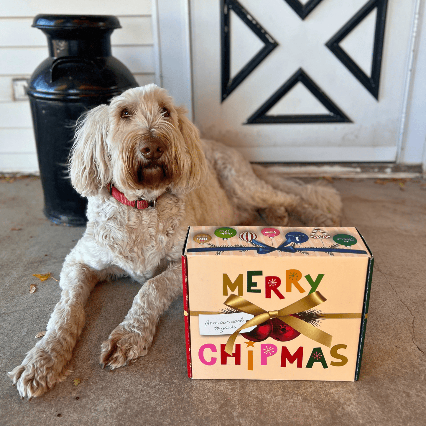 Elk The Halls Antler Chew & Dog Treat Box