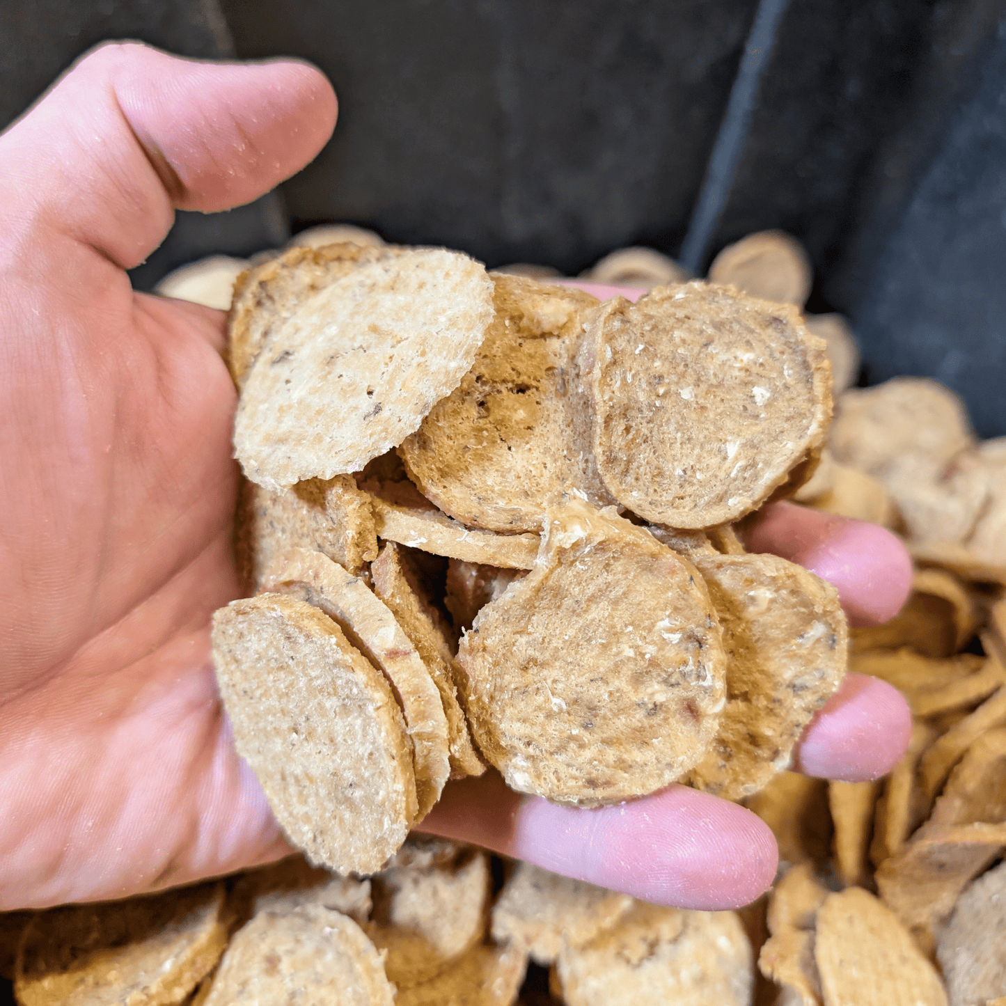 Holiday Chips for Dogs