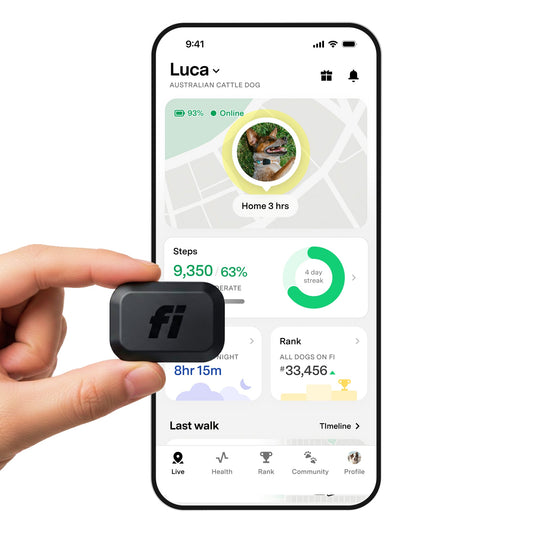 Fi Mini GPS Tracker for Dogs (6-Month Membership Included)
