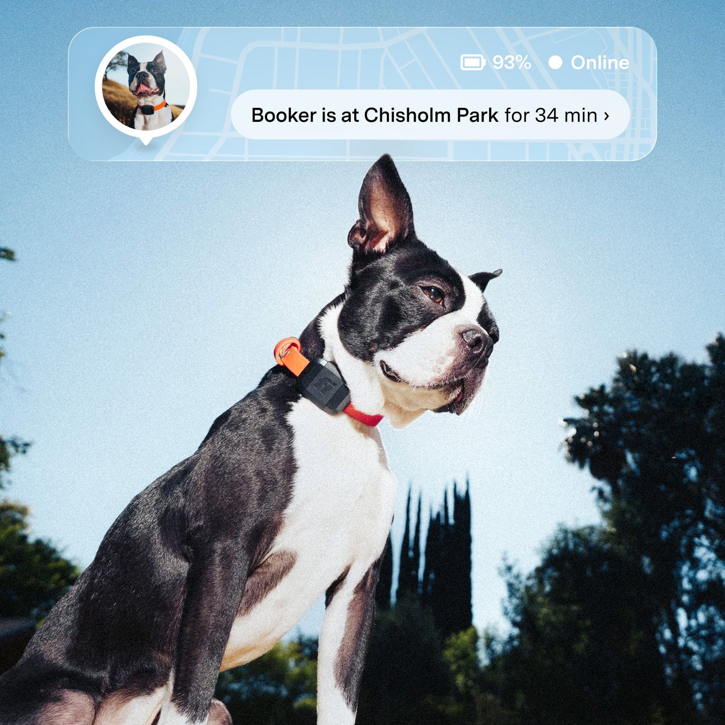 Fi Mini GPS Tracker for Dogs (6-Month Membership Included)