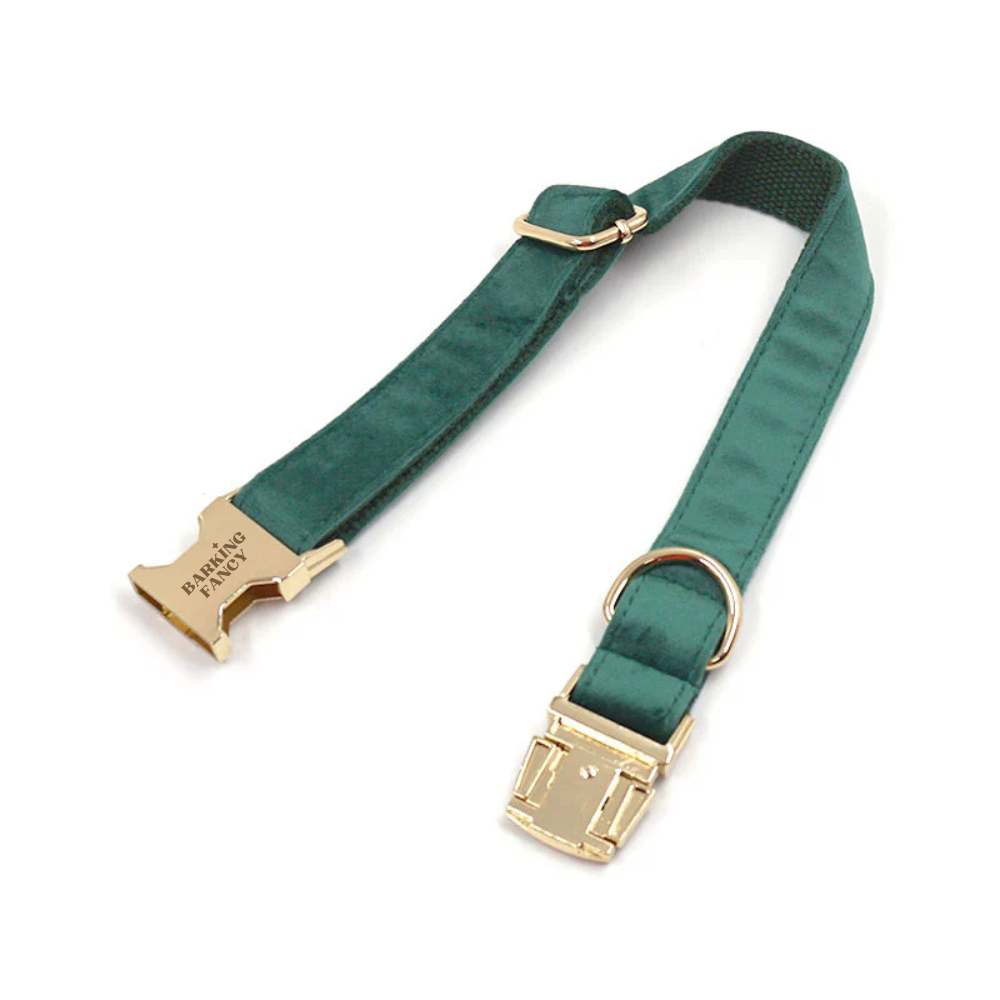 Deep green velvet dog collar with gold hardware on a white background