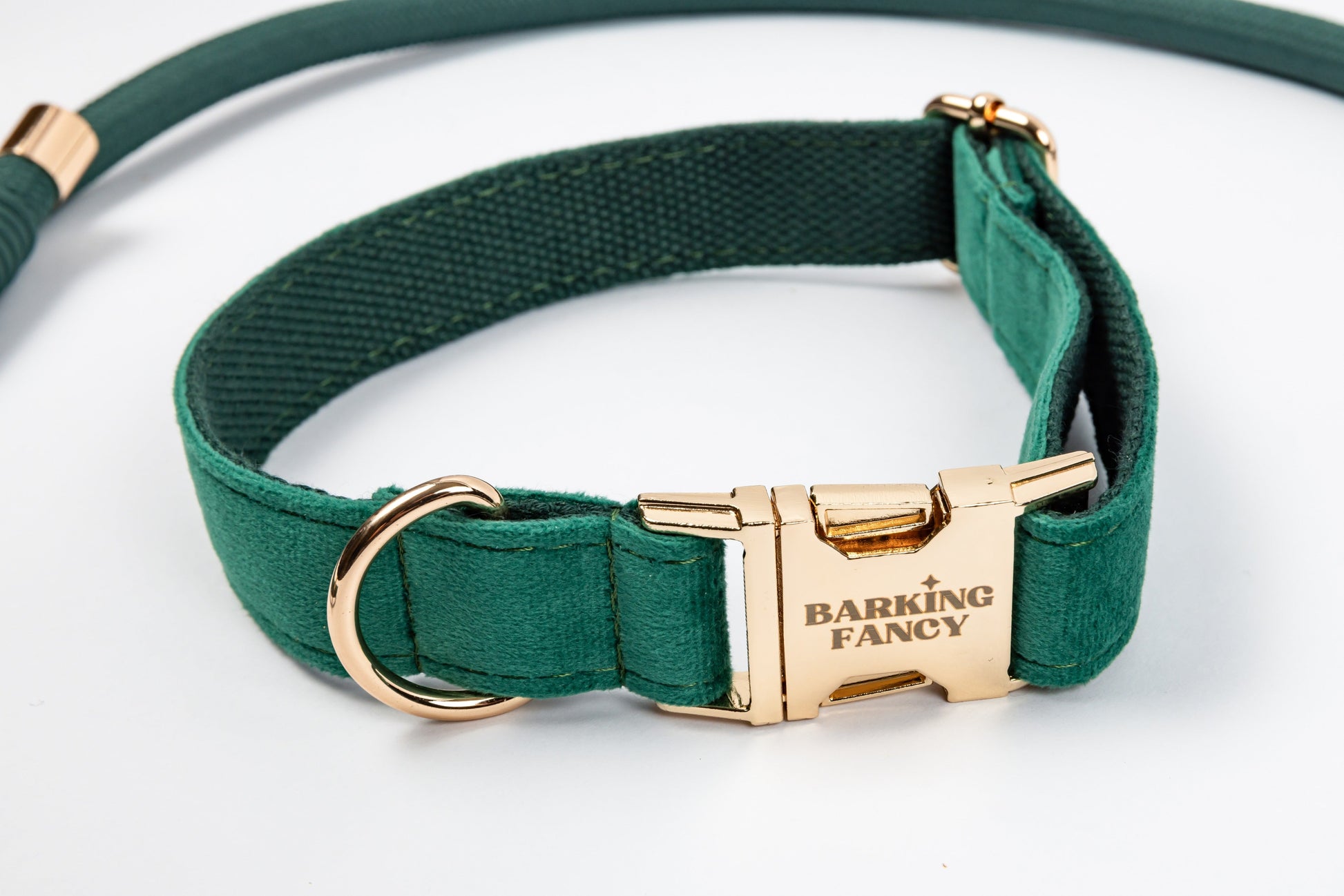 Deep green velvet dog collar with gold hardware, closeup of texture