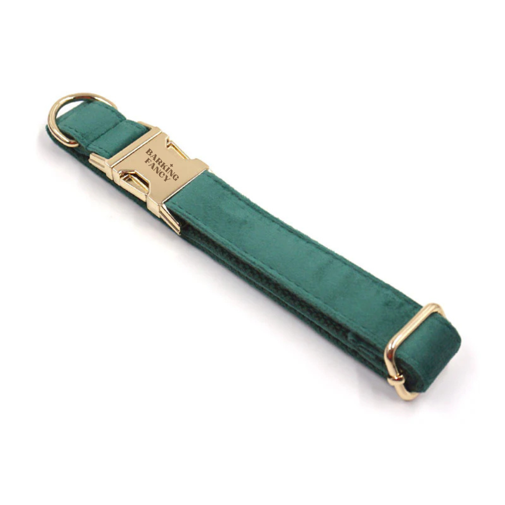 Deep green velvet dog collar with gold hardware on a white background