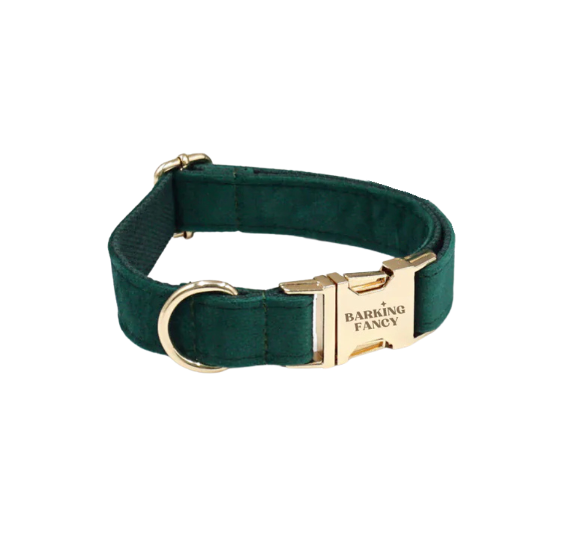 Signature Velvet Collar - Fir