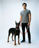 The Superheroes Biothane dog leash, held by a person with a Doberman Pinscher
