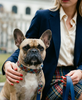 The Preppy Plaid Biothane dog leash, held by a person walking a French Bulldog