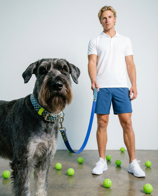 Pickleball Biothane Leash