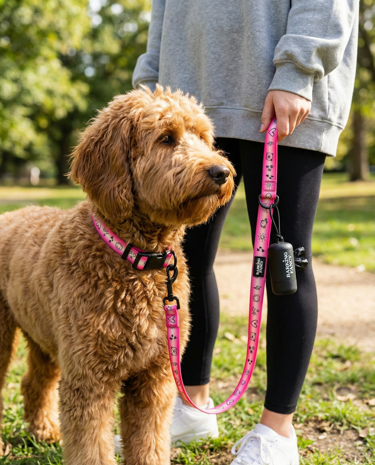 "Doodles" Waterproof Dog Leash - Pink Gradient