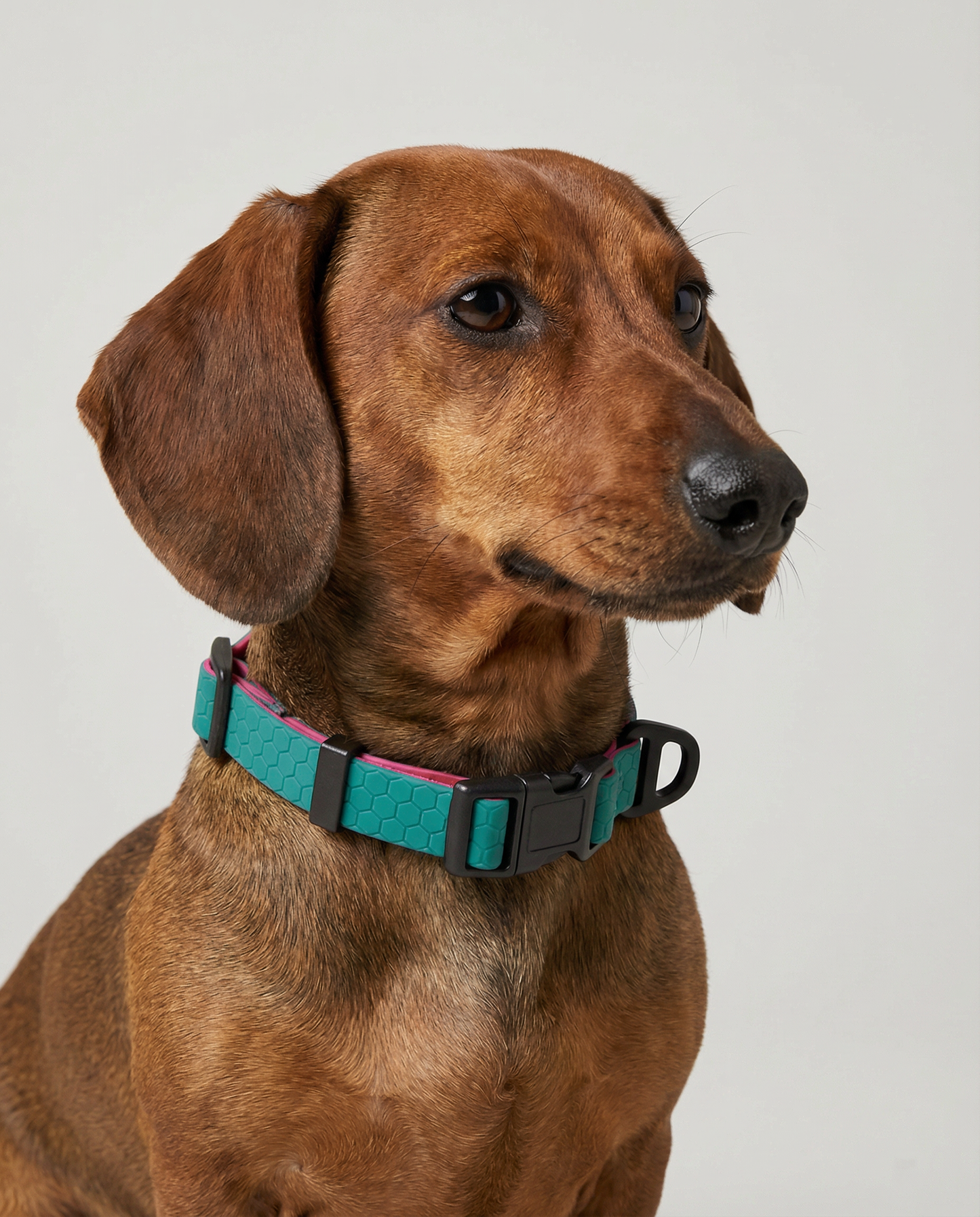 Hexagon Collar - Waterproof Collar For Small Dogs