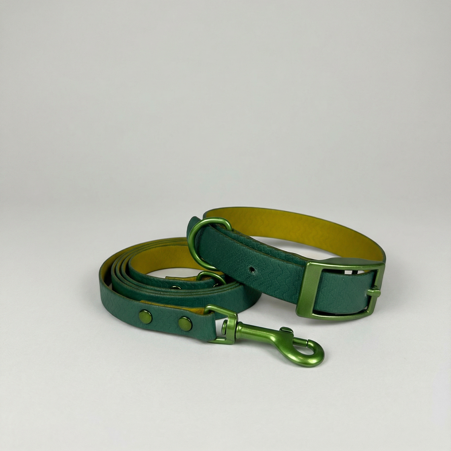 Jelly Waterproof Collar and Leash Set for Small Dogs