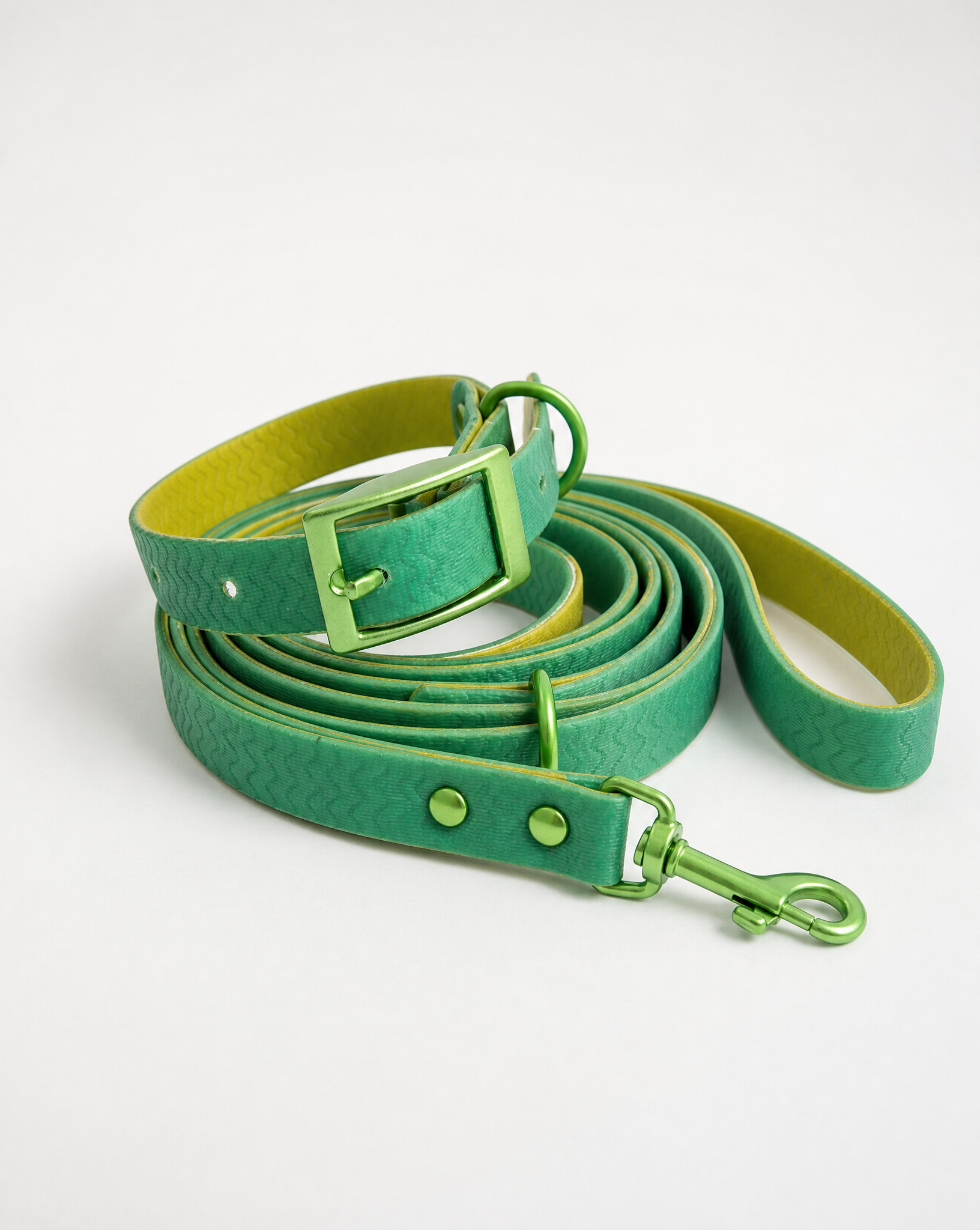 A green dog leash with a matching green buckle, snap buttons, and a metal clip, coiled on a light gray background.