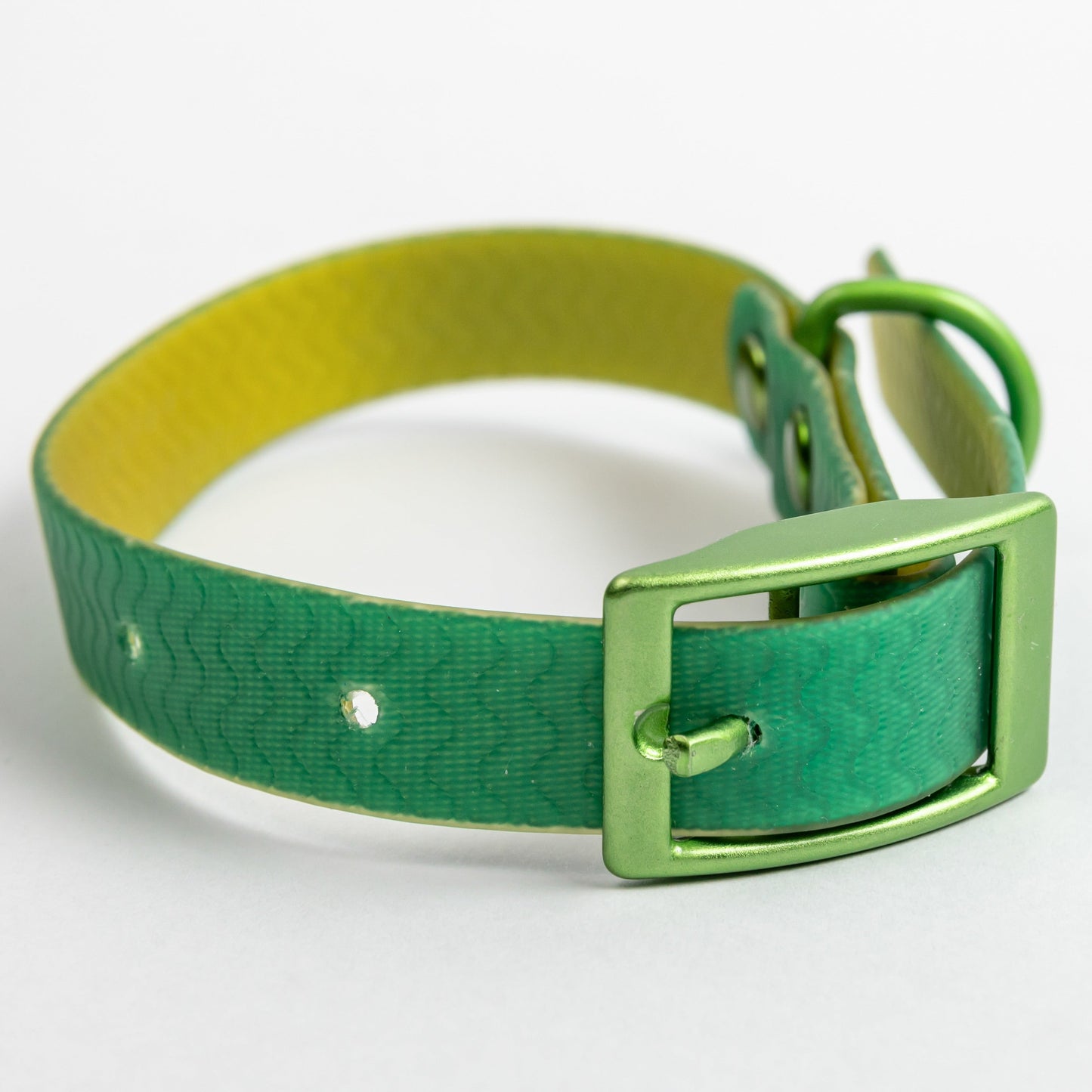 Jelly Waterproof Dog Collar - Green - Front
